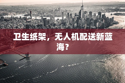 卫生纸架，无人机配送新蓝海？
