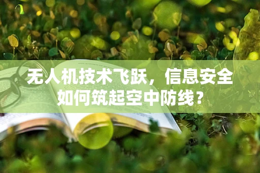 无人机技术飞跃，信息安全如何筑起空中防线？