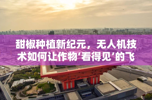 甜椒种植新纪元，无人机技术如何让作物‘看得见’的飞跃？