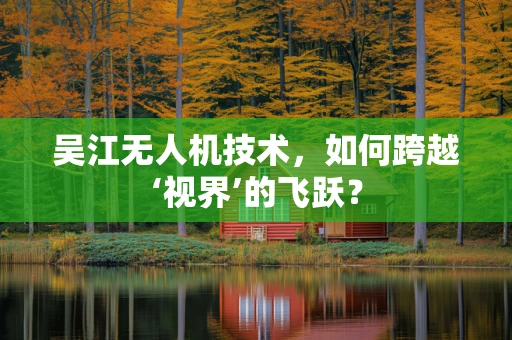 吴江无人机技术，如何跨越‘视界’的飞跃？