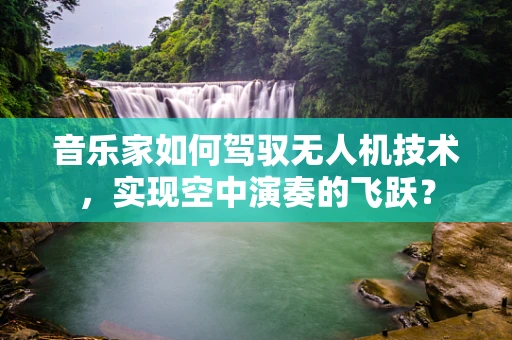 音乐家如何驾驭无人机技术，实现空中演奏的飞跃？