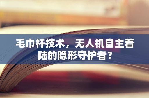 毛巾杆技术，无人机自主着陆的隐形守护者？