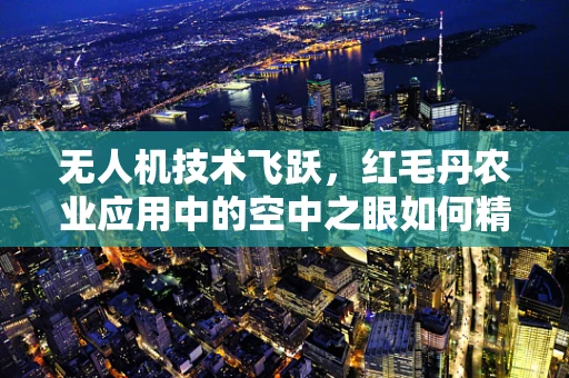 无人机技术飞跃，红毛丹农业应用中的空中之眼如何精准导航？
