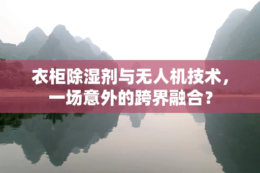 衣柜除湿剂与无人机技术，一场意外的跨界融合？