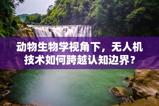 动物生物学视角下，无人机技术如何跨越认知边界？