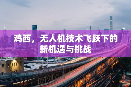 鸡西，无人机技术飞跃下的新机遇与挑战