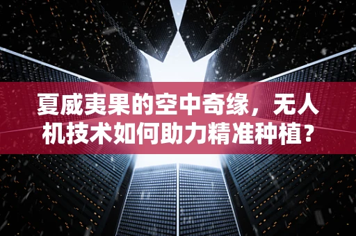 夏威夷果的空中奇缘，无人机技术如何助力精准种植？