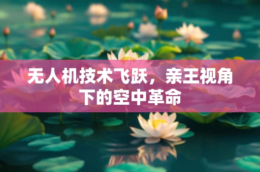 无人机技术飞跃，亲王视角下的空中革命