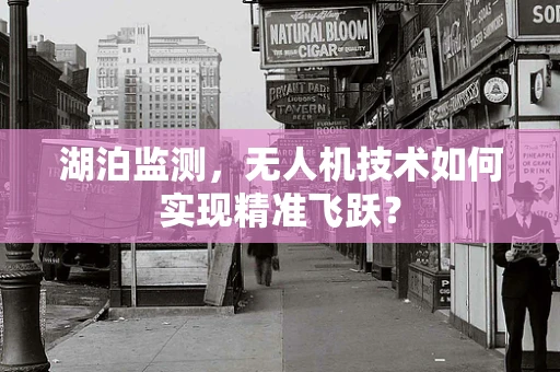 湖泊监测，无人机技术如何实现精准飞跃？