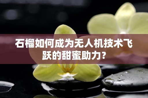 石榴如何成为无人机技术飞跃的甜蜜助力？