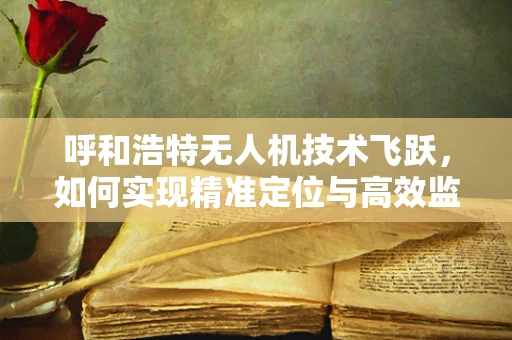 呼和浩特无人机技术飞跃，如何实现精准定位与高效监管？