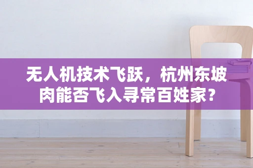 无人机技术飞跃，杭州东坡肉能否飞入寻常百姓家？