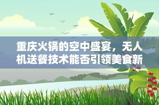 重庆火锅的空中盛宴，无人机送餐技术能否引领美食新潮流？