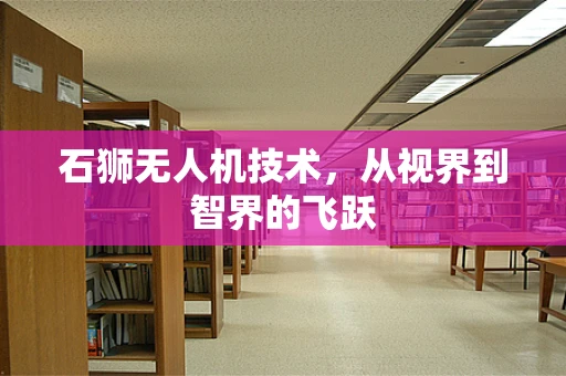 石狮无人机技术，从视界到智界的飞跃