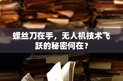 螺丝刀在手，无人机技术飞跃的秘密何在？