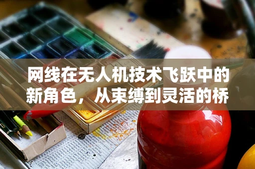网线在无人机技术飞跃中的新角色，从束缚到灵活的桥梁