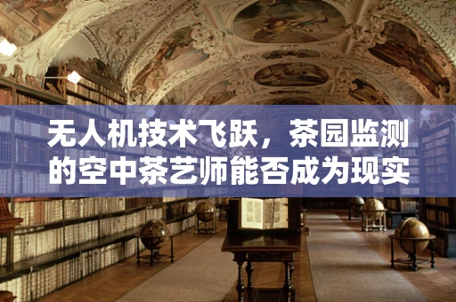 无人机技术飞跃，茶园监测的空中茶艺师能否成为现实？