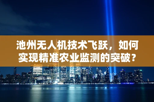 池州无人机技术飞跃，如何实现精准农业监测的突破？