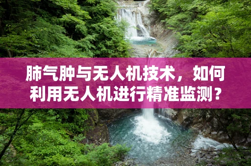肺气肿与无人机技术，如何利用无人机进行精准监测？