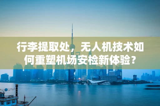 行李提取处，无人机技术如何重塑机场安检新体验？