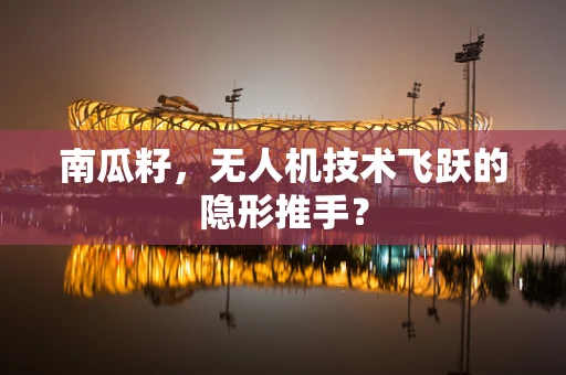 南瓜籽，无人机技术飞跃的隐形推手？