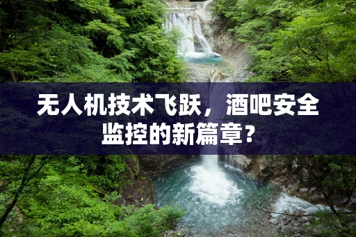 无人机技术飞跃，酒吧安全监控的新篇章？