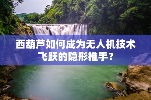 西葫芦如何成为无人机技术飞跃的隐形推手？