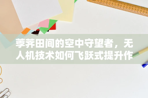 荸荠田间的空中守望者，无人机技术如何飞跃式提升作物监测？