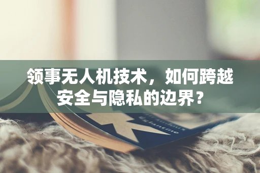 领事无人机技术，如何跨越安全与隐私的边界？