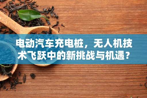 电动汽车充电桩，无人机技术飞跃中的新挑战与机遇？