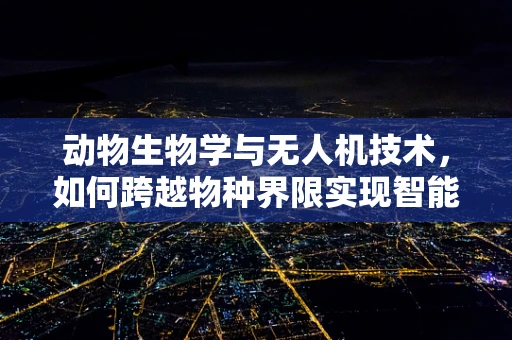 动物生物学与无人机技术，如何跨越物种界限实现智能监测？