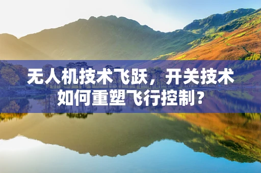 无人机技术飞跃，开关技术如何重塑飞行控制？
