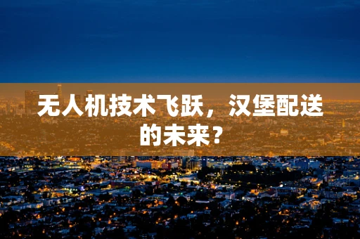 无人机技术飞跃，汉堡配送的未来？