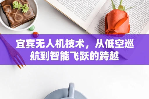 宜宾无人机技术，从低空巡航到智能飞跃的跨越