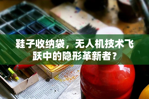 鞋子收纳袋，无人机技术飞跃中的隐形革新者？