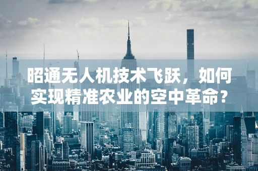 昭通无人机技术飞跃，如何实现精准农业的空中革命？