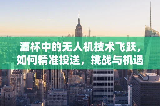 酒杯中的无人机技术飞跃，如何精准投送，挑战与机遇并存
