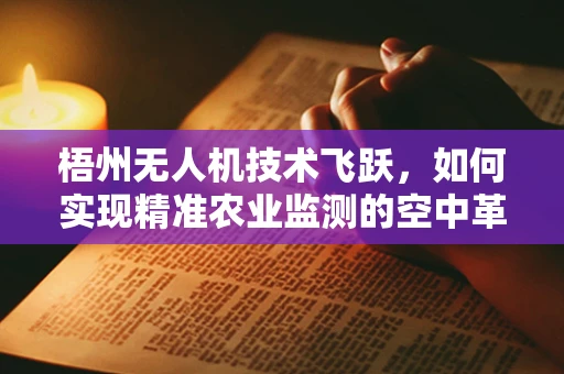 梧州无人机技术飞跃，如何实现精准农业监测的空中革命？