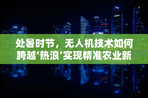 处暑时节，无人机技术如何跨越‘热浪’实现精准农业新飞跃？