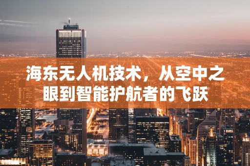海东无人机技术，从空中之眼到智能护航者的飞跃