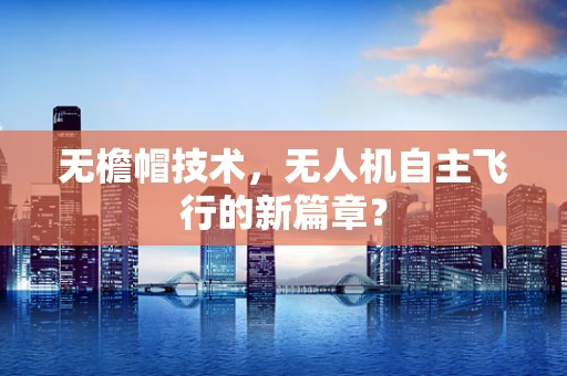 无檐帽技术，无人机自主飞行的新篇章？
