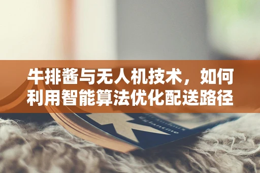牛排酱与无人机技术，如何利用智能算法优化配送路径？