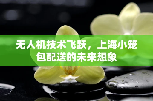 无人机技术飞跃，上海小笼包配送的未来想象