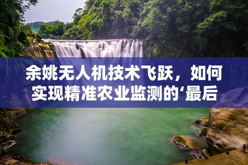 余姚无人机技术飞跃，如何实现精准农业监测的‘最后一公里’？