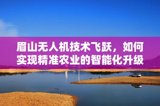 眉山无人机技术飞跃，如何实现精准农业的智能化升级？