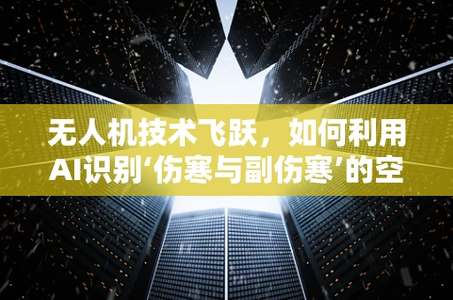 无人机技术飞跃，如何利用AI识别‘伤寒与副伤寒’的空中侦察？