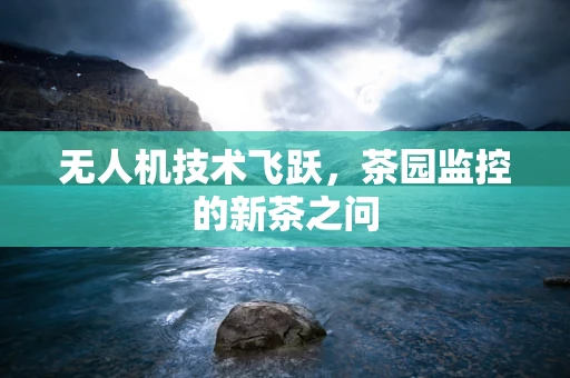 无人机技术飞跃，茶园监控的新茶之问