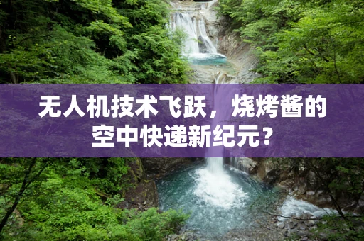 无人机技术飞跃，烧烤酱的空中快递新纪元？