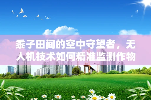 黍子田间的空中守望者，无人机技术如何精准监测作物生长？