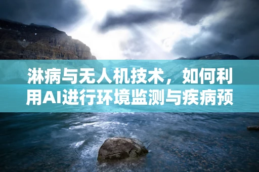 淋病与无人机技术，如何利用AI进行环境监测与疾病预警？